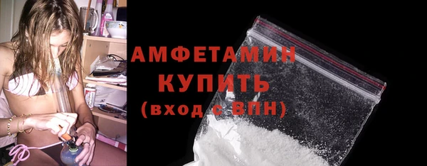 прущие грибы Надым