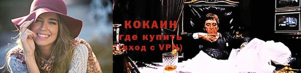 прущие грибы Надым