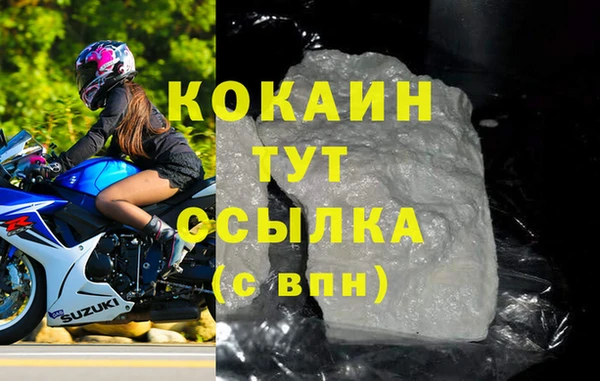 прущие грибы Надым