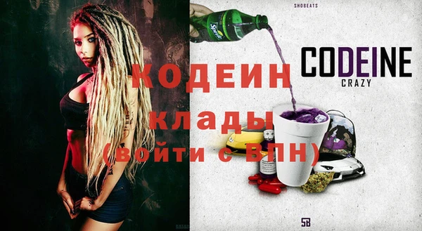 прущие грибы Надым