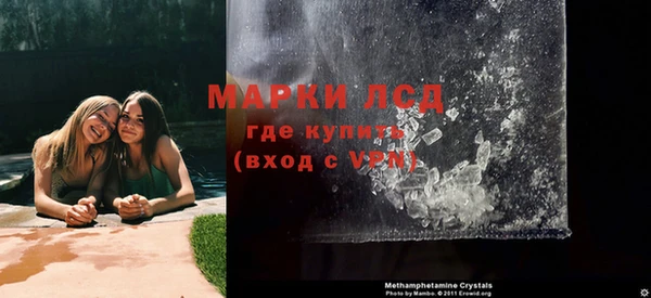 прущие грибы Надым