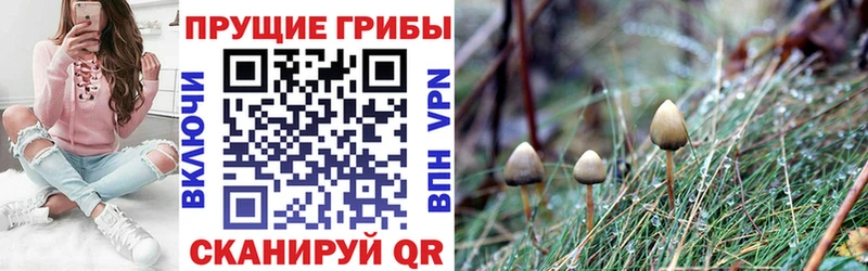 OMG зеркало  Чишмы  Галлюциногенные грибы Magic Shrooms  купить  